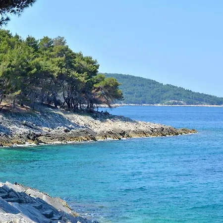 شقة Seaside Secluded Cove Vela Borova, Korcula - 15062 بريسبا
